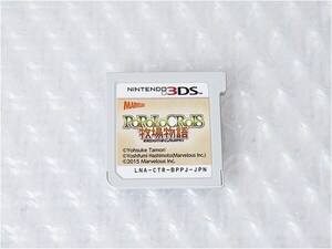■即決■3DS ポポロクロイス牧場物語