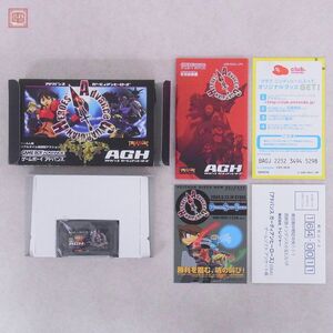 動作保証品 GBA ゲームボーイアドバンス ガーディアンヒーローズ Advance GUARDIAN HEROES AGH トレジャー TREASURE 箱説ハガキ付【10