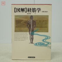 図解 経筋学 基礎と臨床 西田皓一 東洋学術出版社 2014年発行 東洋医学【PP_画像1