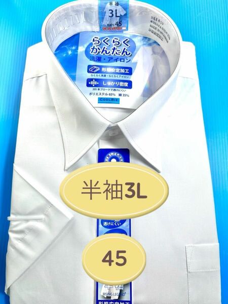 ワイシャツ半袖／白無地形態安定 ／レギュラー衿／ フォーマル兼用 スタンダード衿／3Lサイズ