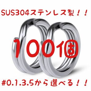 組み合わせ自由100個【#0.1.3.5】SUS304製 スプリットリング