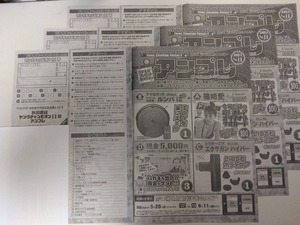 z004-2《応募用紙》3枚セット（複セット対応可）【アンプレ応募用紙/篠崎愛クオカード等】ヤングチャンピオン 2024年No.11 ☆送料一律☆