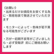 【翌日発送】レディース ロングワンピース プリーツ 半袖 切り替え シフォン_画像6