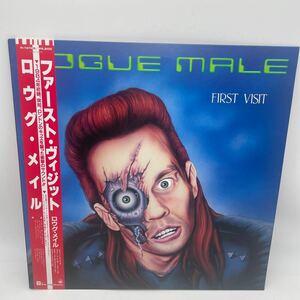 【帯付】ロウグ・メイル/Rogue Male/First Visit/ファースト・ヴィジット/イギリス/85年