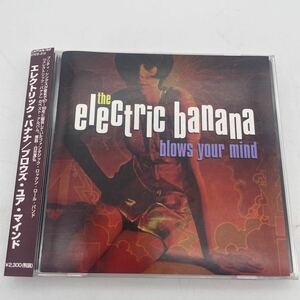 【帯付】エレクトリック・バナナ/Electric Banana/Blow Your Mind/CD/プリティ・シングス