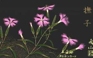 ★金蒔絵　本蒔絵　撫子　南山　擦れ有★テレカ５０度数未使用qb_184