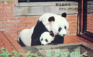 * Panda yuuyuu(..) Ueno zoo * telephone card 50 frequency unused qh_1