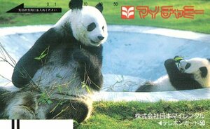 * Panda my tea mi- Japan my rental * telephone card 50 frequency unused qh_16