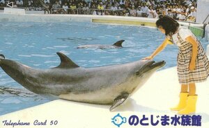 ★イルカ　のとじま水族館★テレカ５０度数未使用qh_30