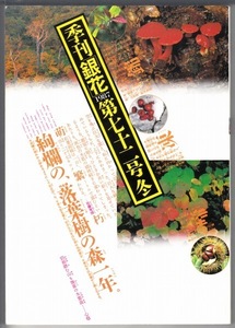 季刊銀花第七十二号 1987年冬★落葉樹海 奥羽の森の三百六十五日/いわさきちひろの世界