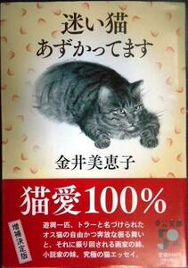 迷い猫あずかってます★金井美恵子★中公文庫