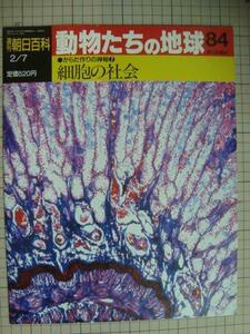 週刊朝日百科 動物たちの地球 84 からだ作りの神秘7★細胞の社会