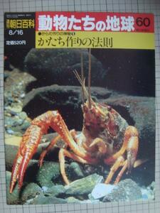 週刊朝日百科 動物たちの地球 60 からだ作りの神秘5★かたち作りの法則