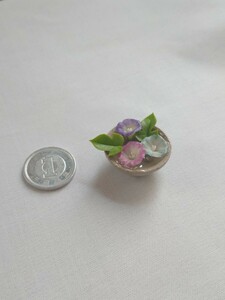 少しだけ訳あり mame 朝顔　豆鉢 ドールハウス ミニチュア シルバニア リーメント　初夏　miniature flower dollhouse