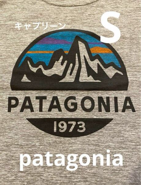 【当日または翌日発送】　パタゴニア tシャツ S グレー　ドライ素材