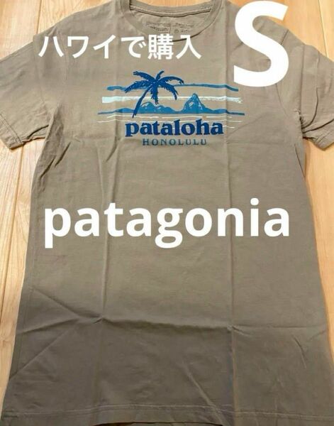 【当日または翌日発送】　パタゴニア tシャツ S パタロハ　グレー