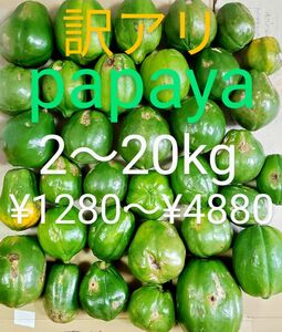 訳あり 青パパイヤ 2〜20kg