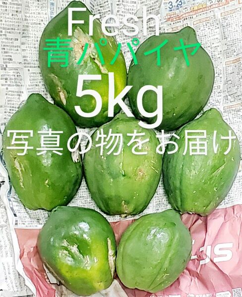 国産 青パパイヤ 5kg Papaya