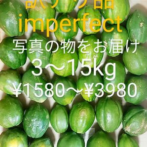 国産 訳あり パパイヤ 5kg