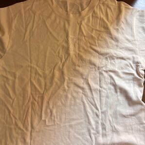 Endricheri zozo コラボ和紙Tシャツ