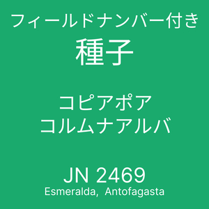 フィールドナンバー付き種子 10粒 コピアポア・コルムナアルバ JN2469