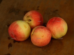A4サイズの写真１枚出品「桃の香る季節」２次使用不可、品質保証（額なし、厚手の高