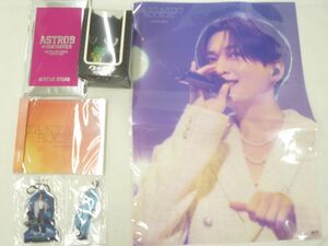 [ including in a package possible ] secondhand goods LDH FANTASTICS. tree .. other FANTASTICROCKET CD Koo wi goat  collie key holder acrylic fiber s