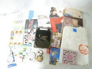 [ including in a package possible ] secondhand goods idol Hello! Project DVD *18FC Event MAGAZINE other raw rice field . pear . other towel T-shirt size 
