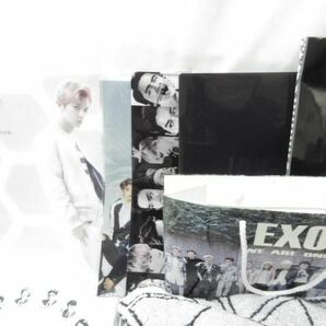 【同梱可】中古品 韓流 EXO フード付きタオル ペンライト IDカードホルダー 缶バッジ 等 グッズセットの画像2
