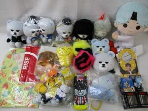 【同梱可】中古品 韓流 BIGBANG D-LITE BTS KRUNK ぬいぐるみ アロハシャツ 等 グッズセット