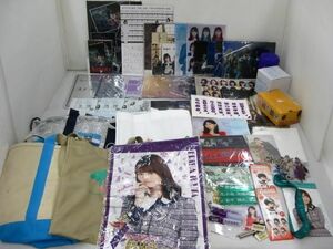[ включение в покупку возможно ] б/у товар идол Nogizaka 46 город Хюга склон 46 др. прозрачный файл стикер акрил брелок для ключа большая сумка ba