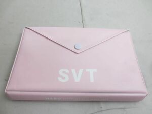 【同梱可】中古品 韓流 SEVENTEEN ジョンハン ウォヌ 他 トレカ 30枚 ケース グッズセット