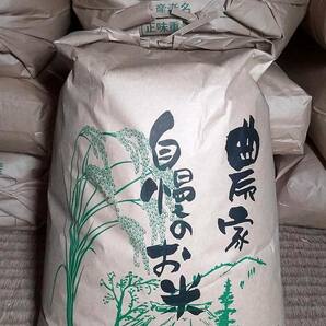 ♪令和5年 愛媛県産にこまる 玄米20kgの画像1