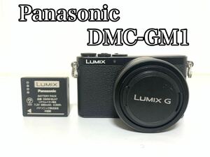 Panasonic LUMIX DMC-GF1 body H-FS12032 1:3.5-5.6/12-32 lens body electrification un- possible Junk Panasonic digital camera single-lens camera 