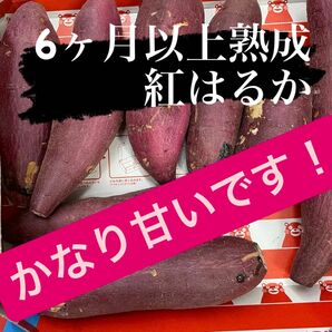 無農薬紅はるか「さつまいも」SからMサイズ　箱込み1.2キロ6ヶ月熟成してます