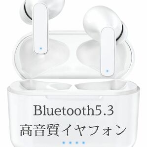 新設計Bluetooth5.3ENCワイヤレスイヤホンHi-Fi CVC8.0 ノイズキャンセリング 自動接続 超軽量 高音質