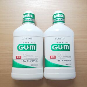 SUNSTAR GUM サンスター ガム デンタルリンス 液体ハミガキ 250ml まとめ売り