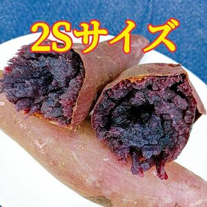 ☆希少☆ 茨城県産　紫芋　ふくむらさき 2Sサイズ