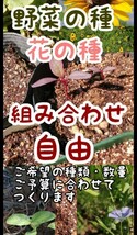 【自然農】特大ひょうたんの種　8粒　ヒョウタンアートに◎瓢箪ランプ　入れ物づくり　家庭菜園　園芸　③_画像10