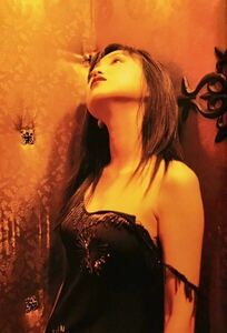 * ежемесячный Nagasaku Hiromi фотоальбом 001 SHINCHO MOOK прекрасный женщина прекрасный . прекрасный . стоимость доставки 230