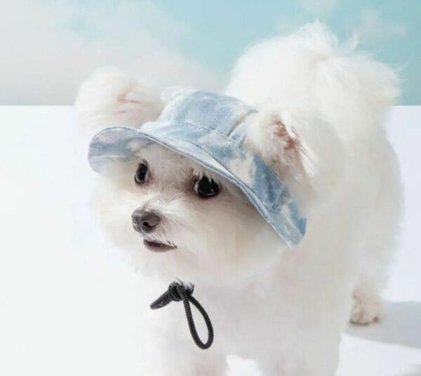 犬　ペット　ワンコ　帽子　水色　S.M