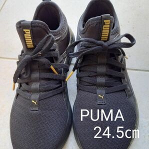 PUMA　プーマ　スニーカー　ひも靴　サイズ24.5㎝　着5回くらい　レディース　