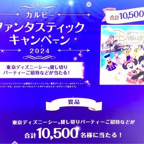 ★300点 （10口）カルビー ファンタスティックキャンペーン2024 応募券 応募 懸賞 