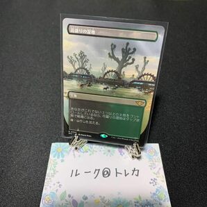 マジック：ザギャザリング MTG サンダー・ジャンクションの無法者 ボーダーレス * 花盛りの湿地