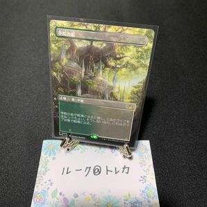 マジック：ザギャザリング MTG ラヴニカ・リマスター ボーダーレス * 寺院の庭