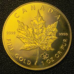 古銭 イギリス 2021年 エリザベス二世女王 カナダ メイプルデザイン 楓 記念メタル ケース付き 硬貨の画像1