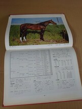 サラブレッド種牡馬名鑑/昭和45年発行/カバー無し/日本中央競馬会_画像5