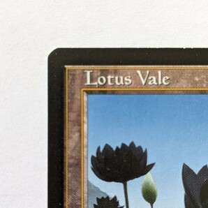 Lotus Vale 睡蓮の谷間 MTG 英語版の画像2