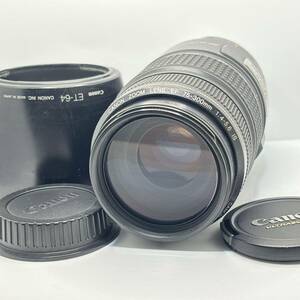 ★良品★ キャノン CANON EF 75-300mm F4-5.6 IS USM　＃261