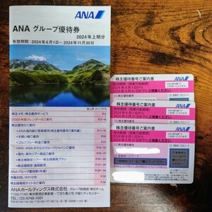 ANA 全日空 株主優待券 3枚（有効期限 2024年06月01日〜2025年05月31日）　＋グループ優待券